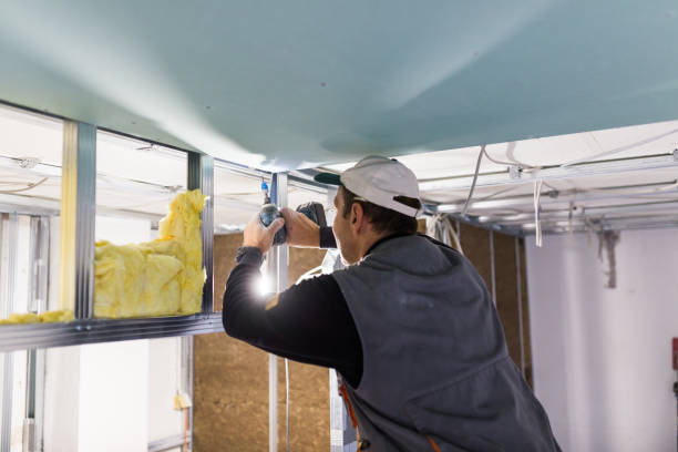 Best Commercial Insulation in Burns, TN